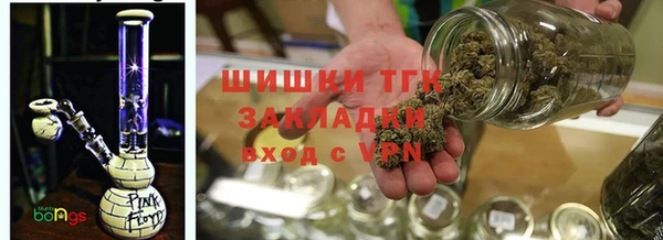 прущие грибы Арсеньев