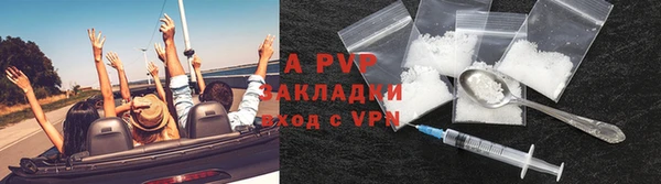 прущие грибы Арсеньев