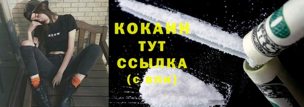 прущие грибы Арсеньев