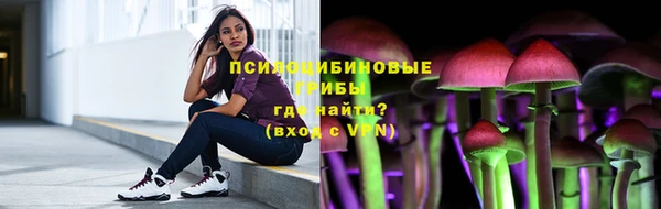 прущие грибы Арсеньев