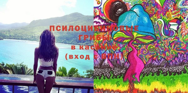 прущие грибы Арсеньев