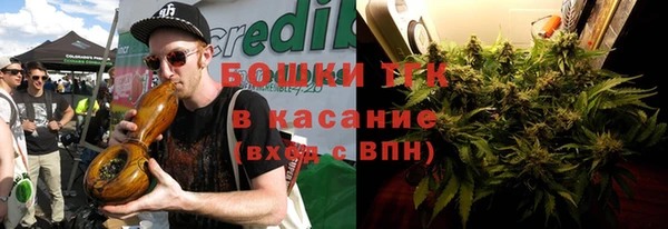 прущие грибы Арсеньев