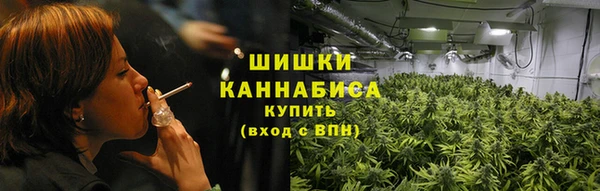 крисы Армянск